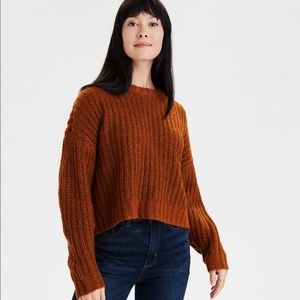 AE cozy crew neck cropped sweater